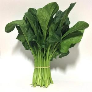 Espinaca