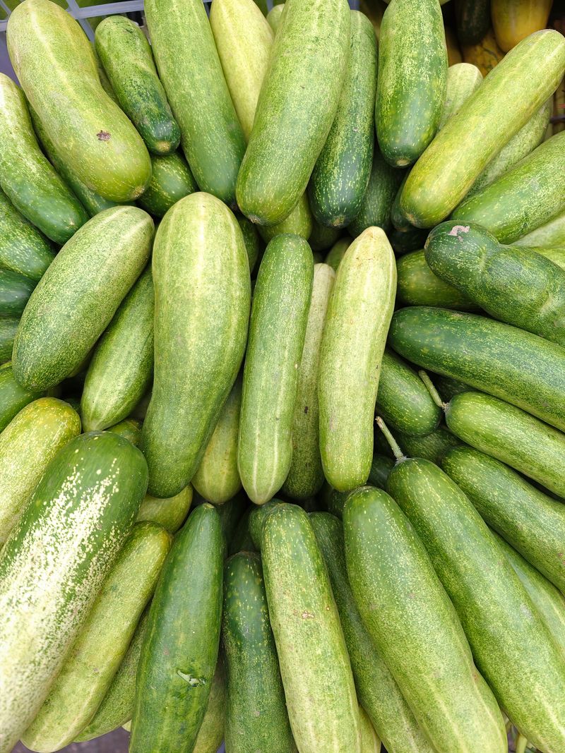 Pepino
