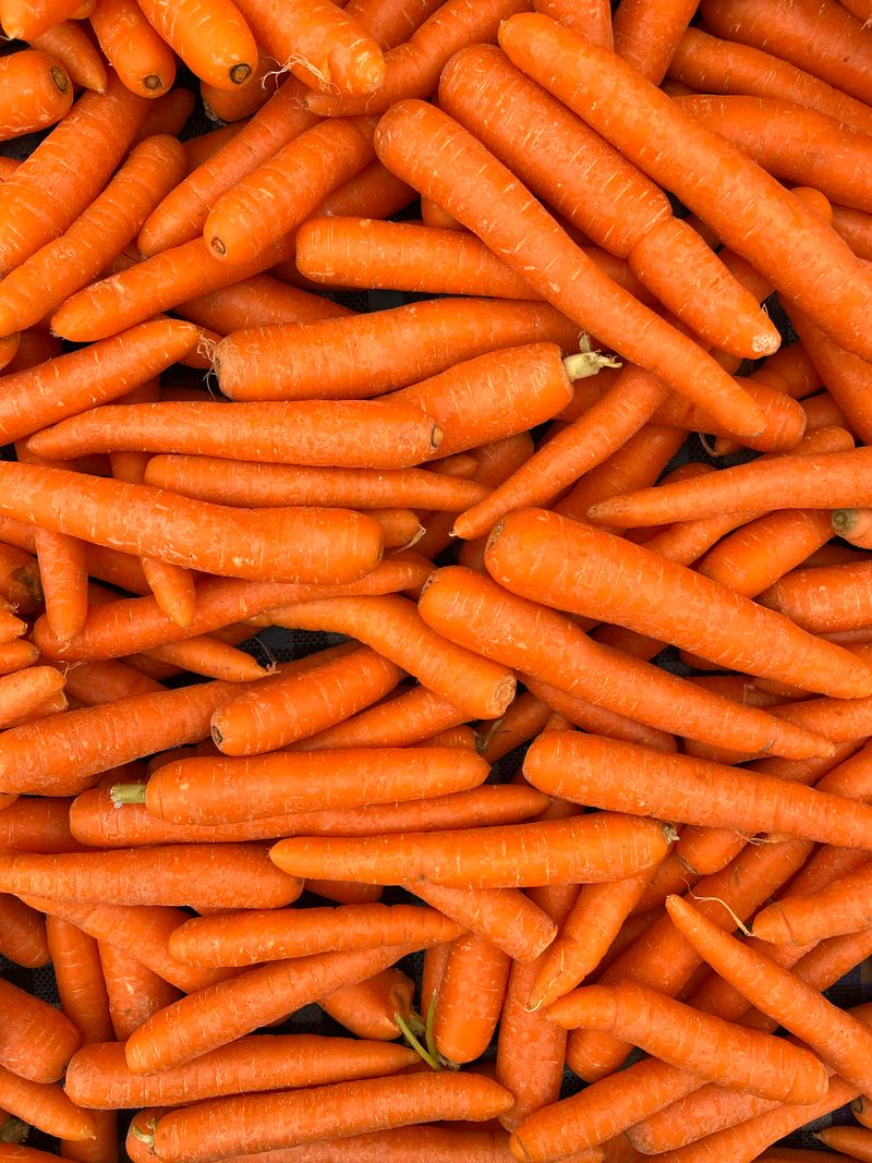 Zanahoria