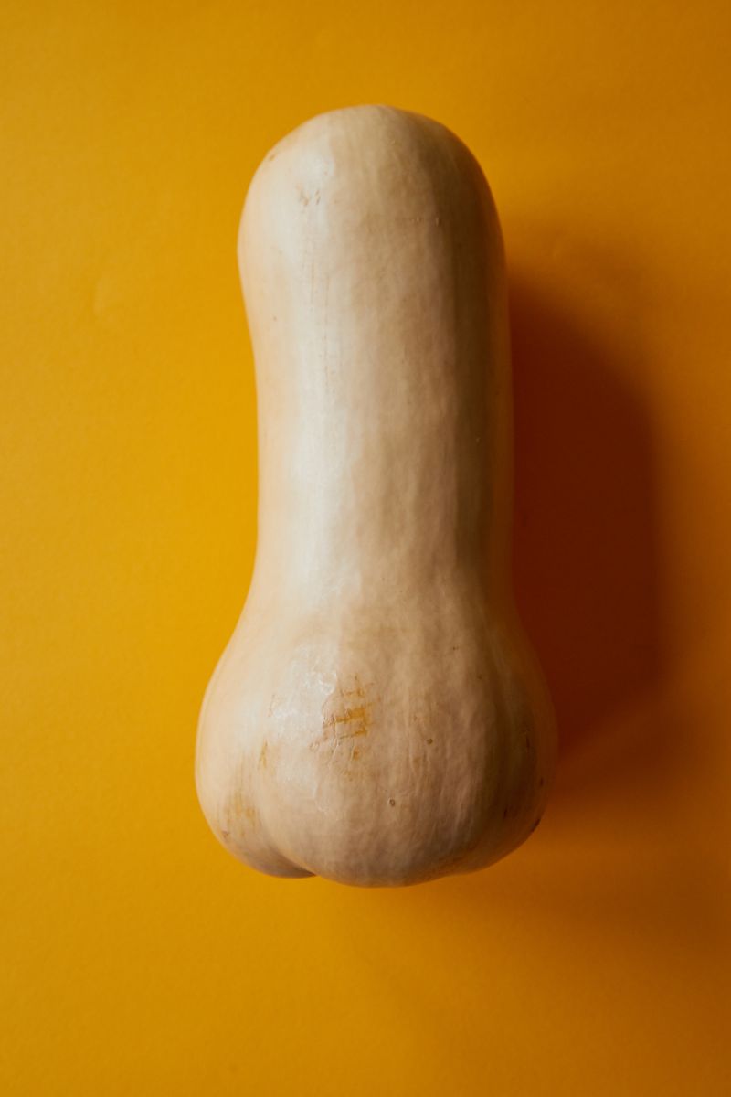 Zapallo camote